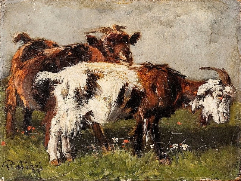 L'amore del caprone